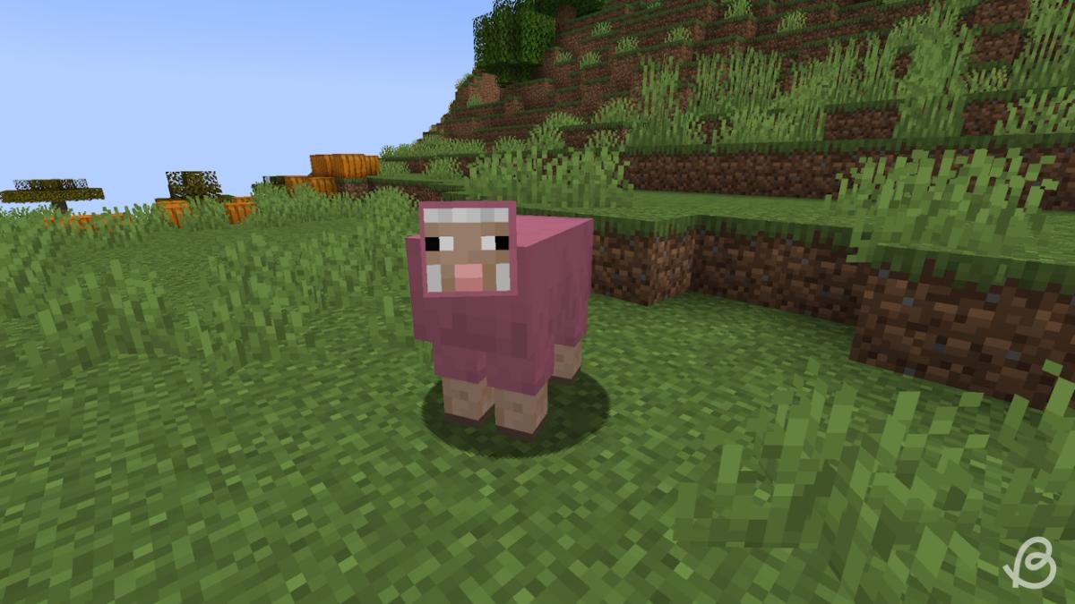 7 Rarest Mobs in Minecraft and How to Get Them | Beebom