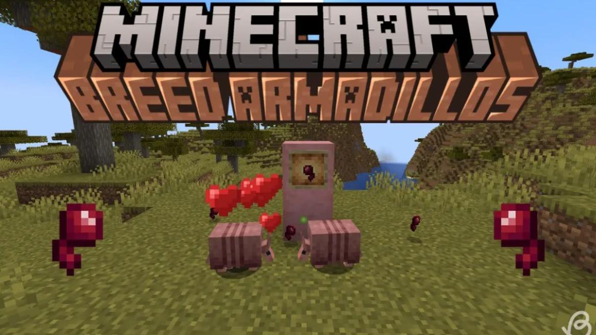 Breed armadillos - Two adult armadillos breeding and making a baby armadillo in Minecraft 1.21