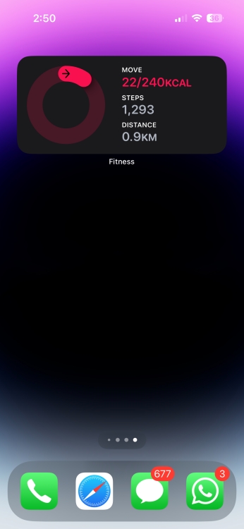 Fitness Widget