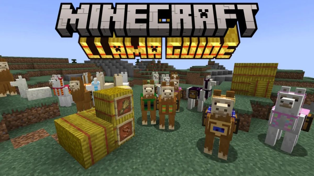 How to Breed Llamas in Minecraft
