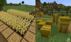 What Do Llamas Eat in Minecraft Beebom
