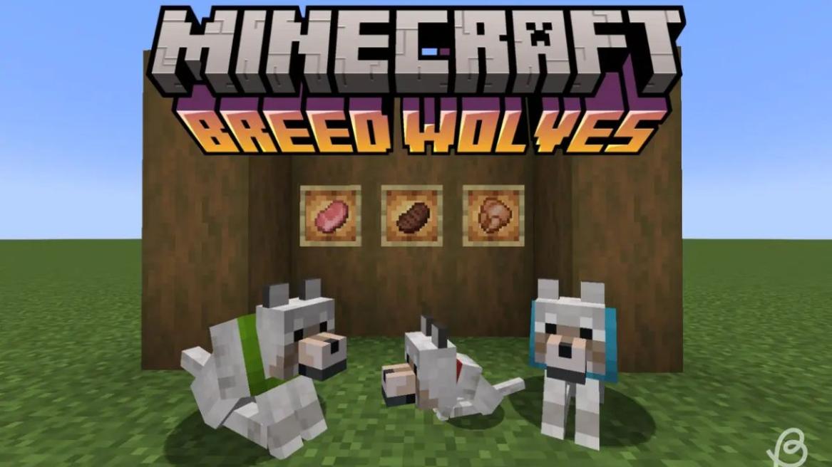 Breed wolves - Two adult wolves and a baby wolf in Minecraft