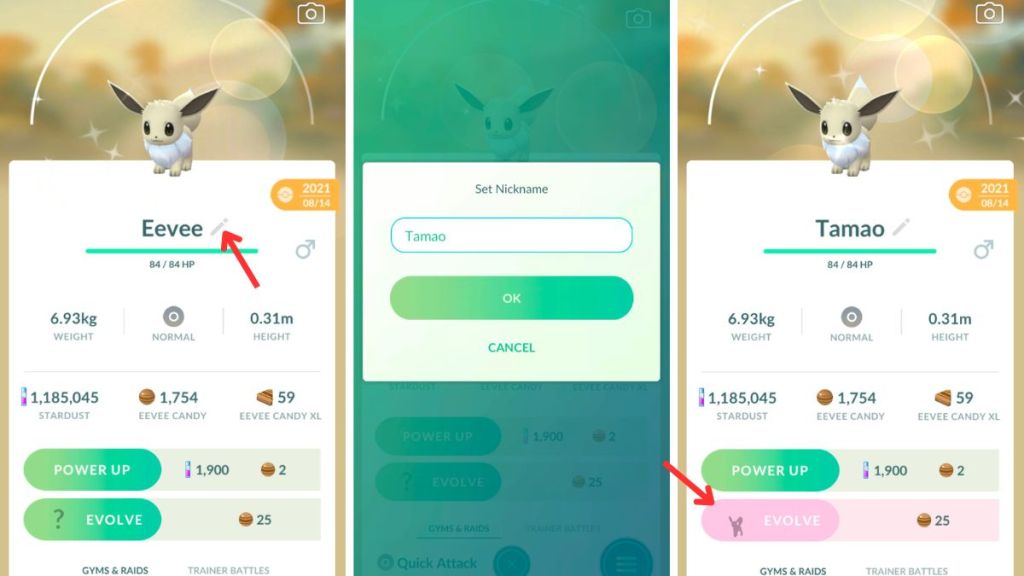 How to get Eevee evolutions in Pokemon GO