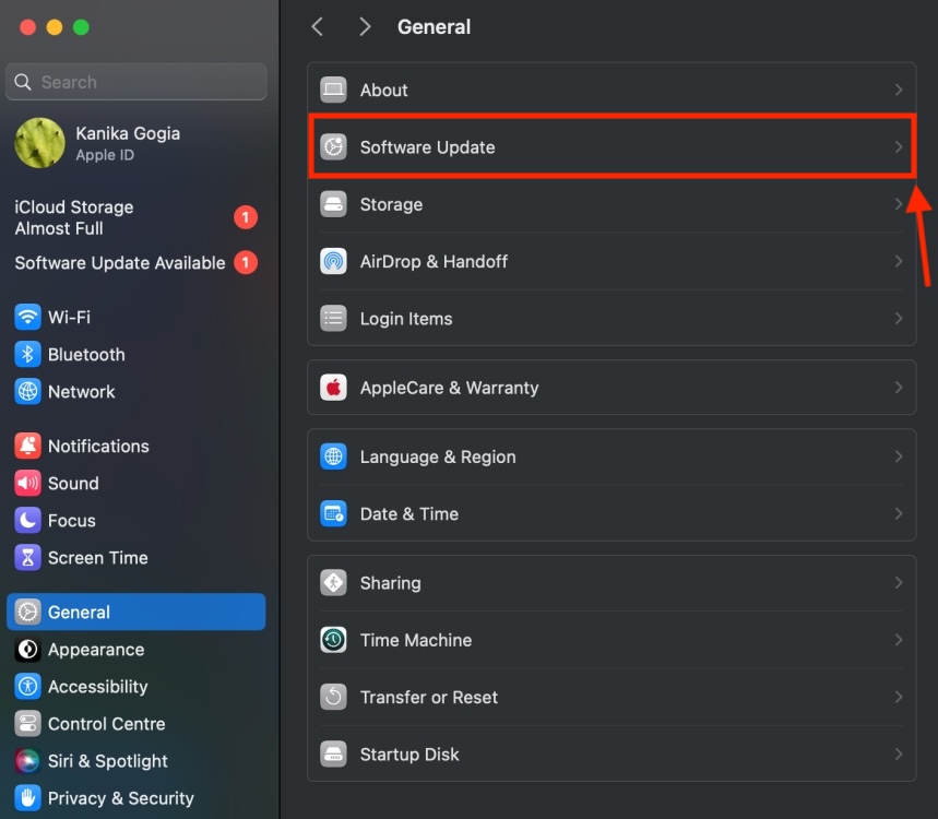 Software Update section on Mac