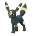 Umbreon