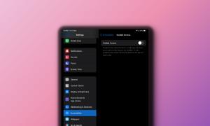 How to Use Guided Access on iPad (2024 Guide)