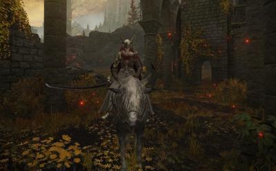 Elden Ring Nagakiba and how to get it