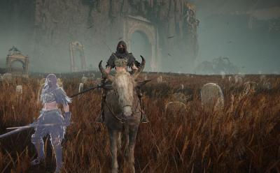 How to find revered spirit ash in Elden Ring Shadow of the Erdtree