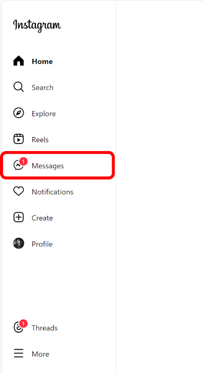 Instagram Messages in left panel on Web