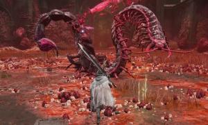 How to Beat Romina, Saint of the Bud in Elden Ring DLC