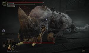 How to Beat Golden Hippopotamus in Elden Ring Shadow of the Erdtree