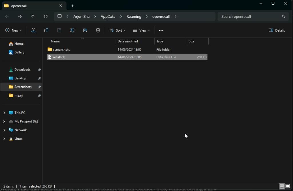 openrecall database