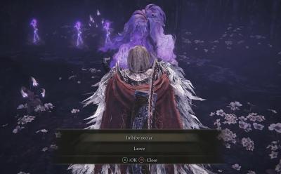 should-you-imbibe-nectar-elden-ring-dlc