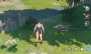 Wuthering Waves Pecok Flower Locations