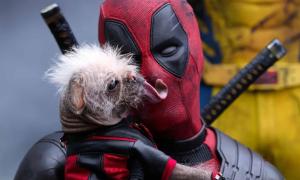 Who Is Dogpool: Deadpool Dog's Name, Breed & Powers