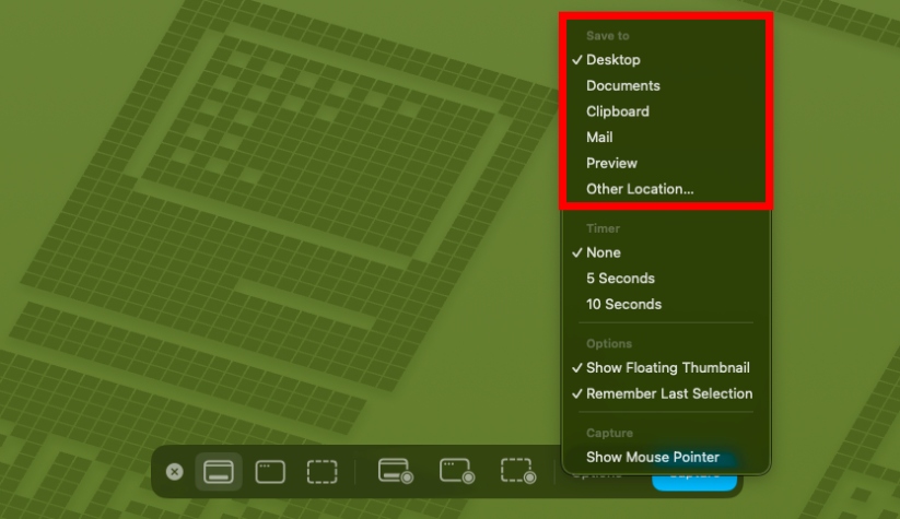 Highlighted Save To section in Screen Capture Window in Mac