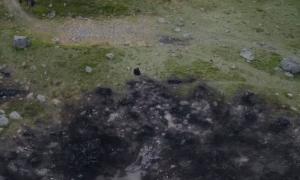 House of the Dragon: Who Is the Wild Dragon in the Vale of Arryn?