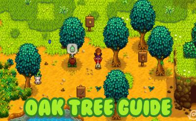Multiple oak trees around the player holding an acorn in Stardew Valley