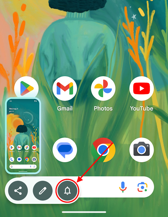 Screenshot reminder on screenshot preview panel