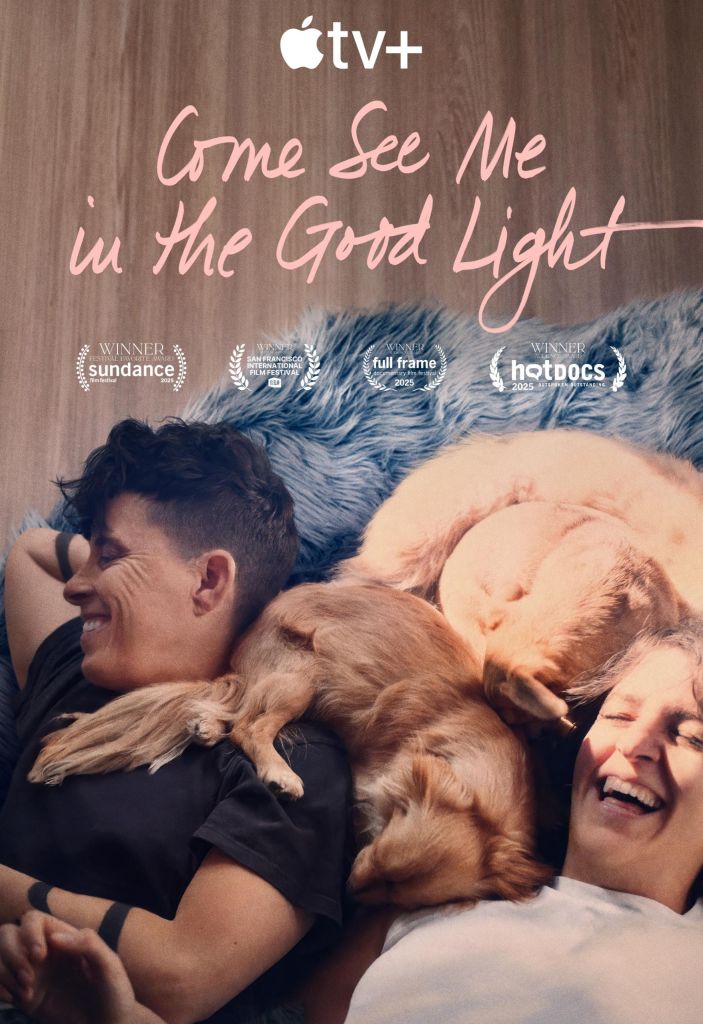 Come See Me in the Good Light poster
