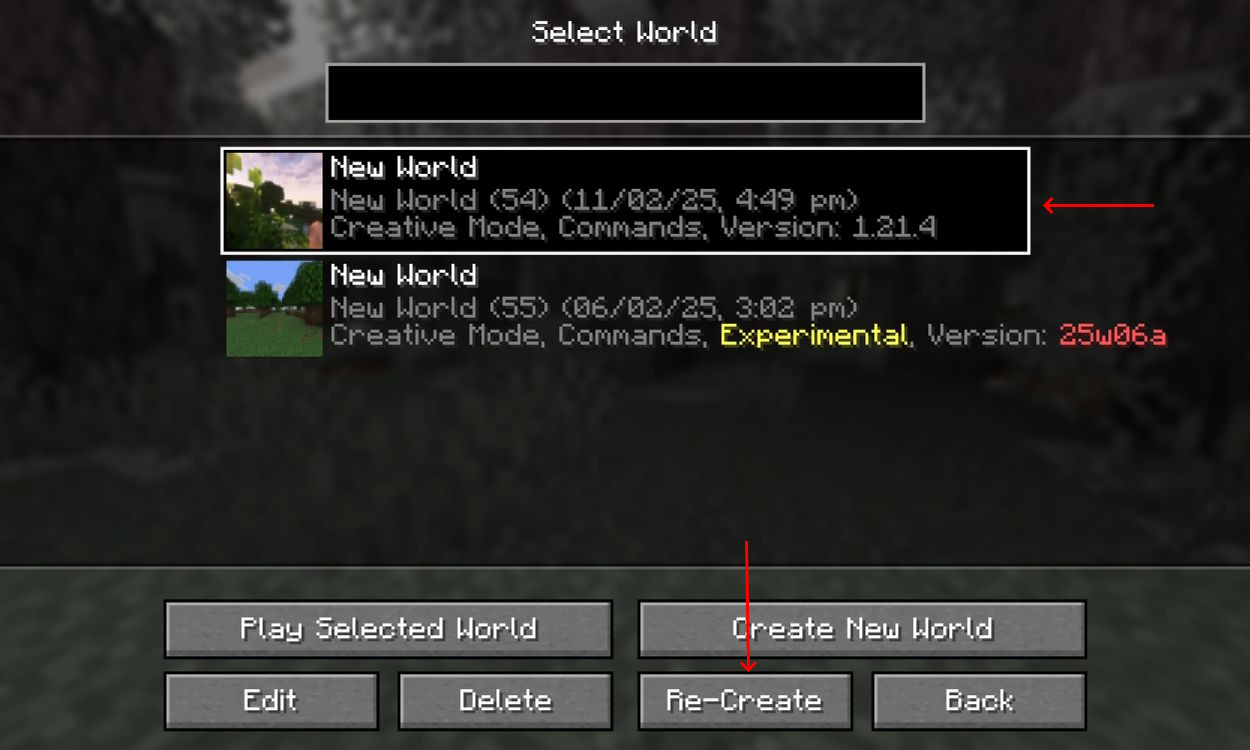 Minecraft Java Seed New World