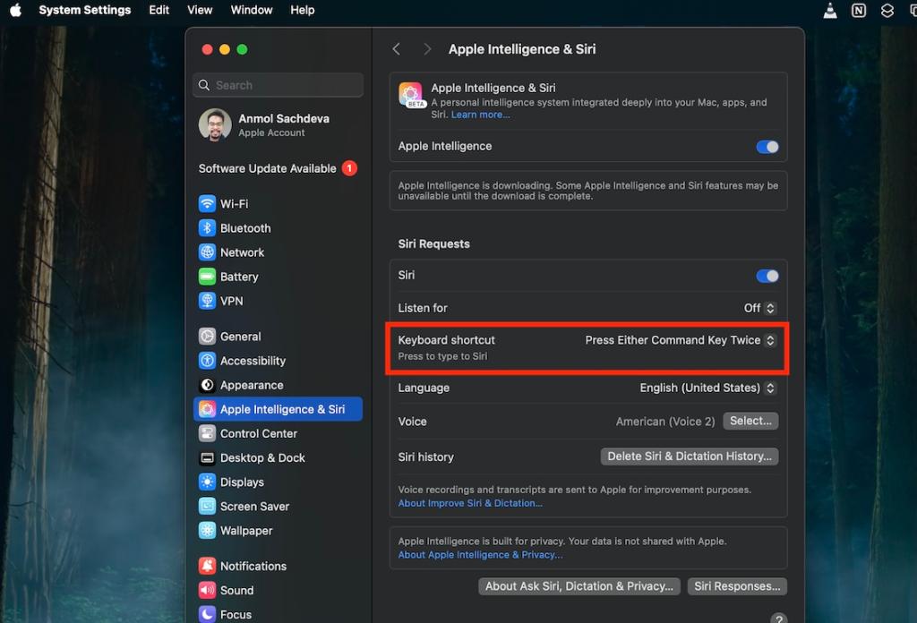 Enable Type to Siri on Mac