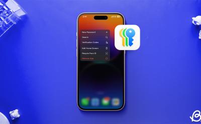 How Use iOS 18 Passwords App iphone