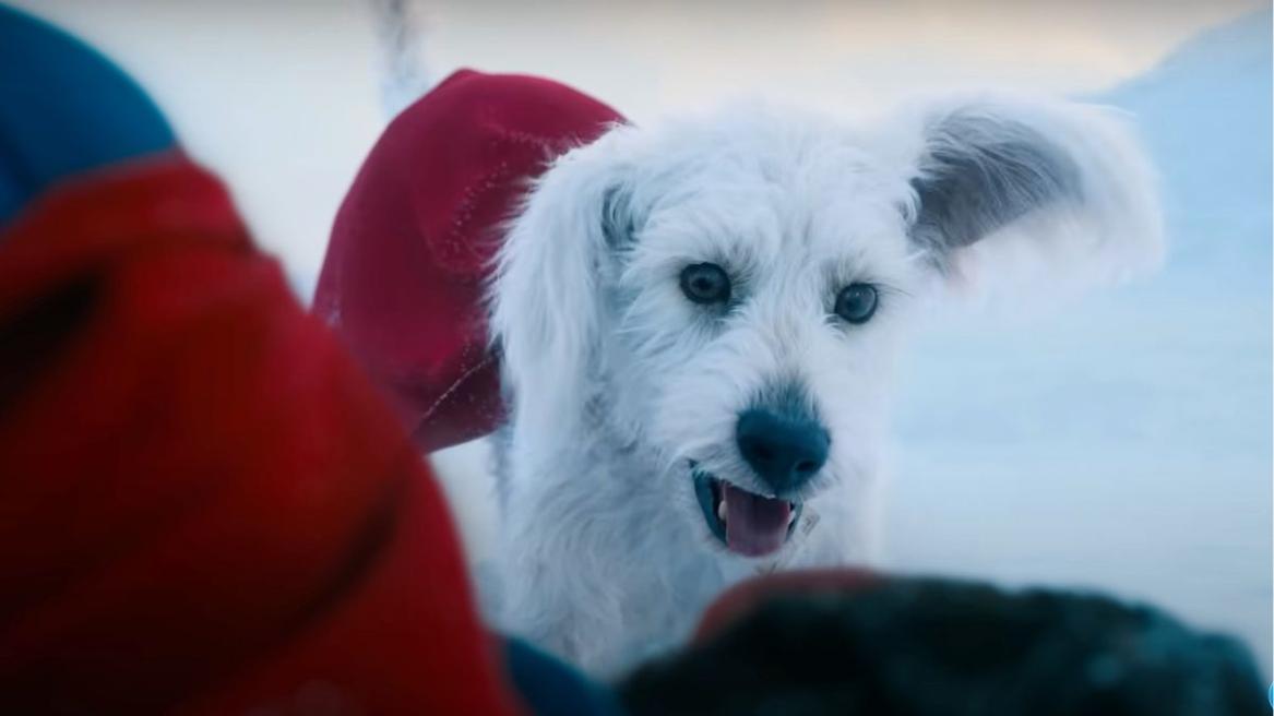 Who Is Krypto in Superman (2025): Breed, Powers and Abilties