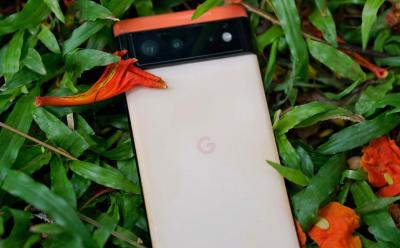 Google Pixel 6 image on leaves and flowers