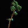 Spirit of the Forest