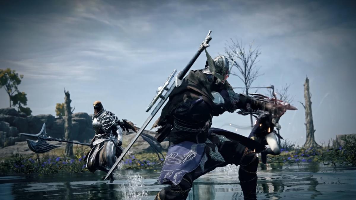 WILL ELDEN RING BE CROSSPLAY IN THE FUTURE visual data 3