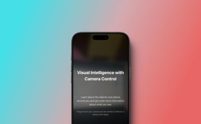 Visual Intelligence on iPhone 15 Pro Pro Max
