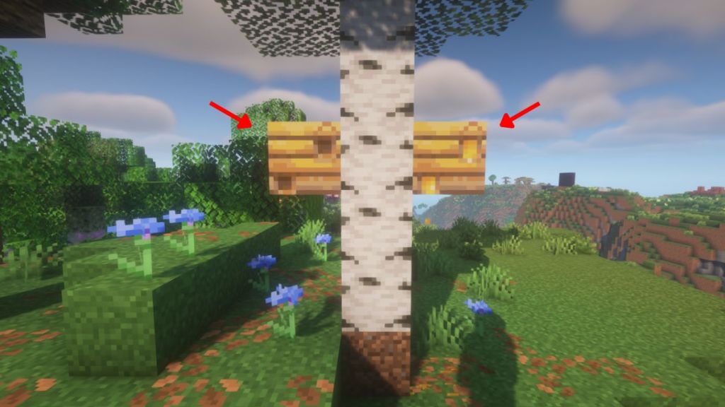 Difference between honey filled bee nest and no honey bee nest