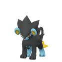 Luxray