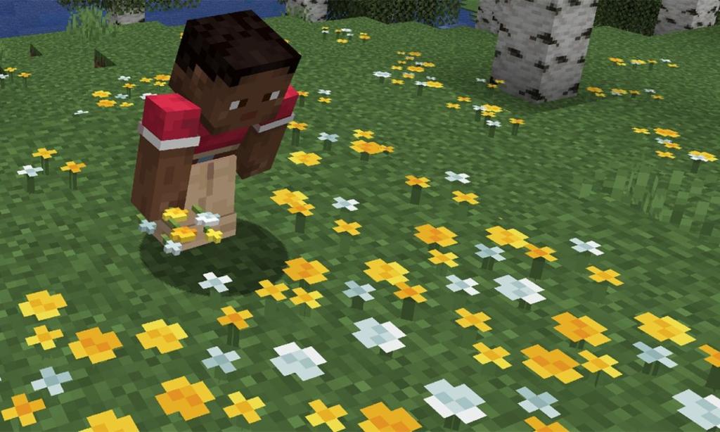 Minecraft Wildflowers