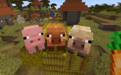 all Pig Variants Minecraft