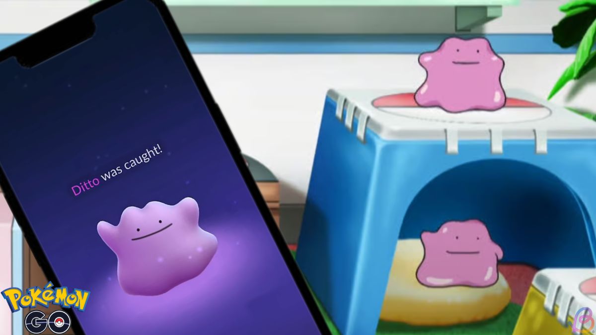 Pokemon GO Ditto guide