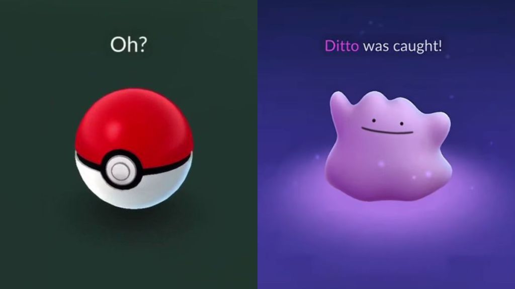 Pokemon GO Ditto