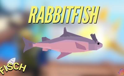 Rabbitfish Fisch