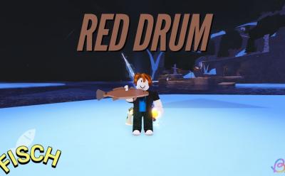 Red Drum Fisch