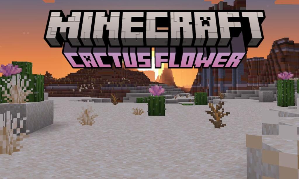 Minecraft Cactus Flower