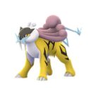 Raikou