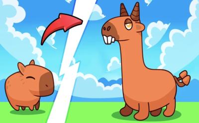 Capybara Evolution Codes