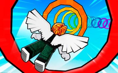 Flying Wings Race Simulator Codes
