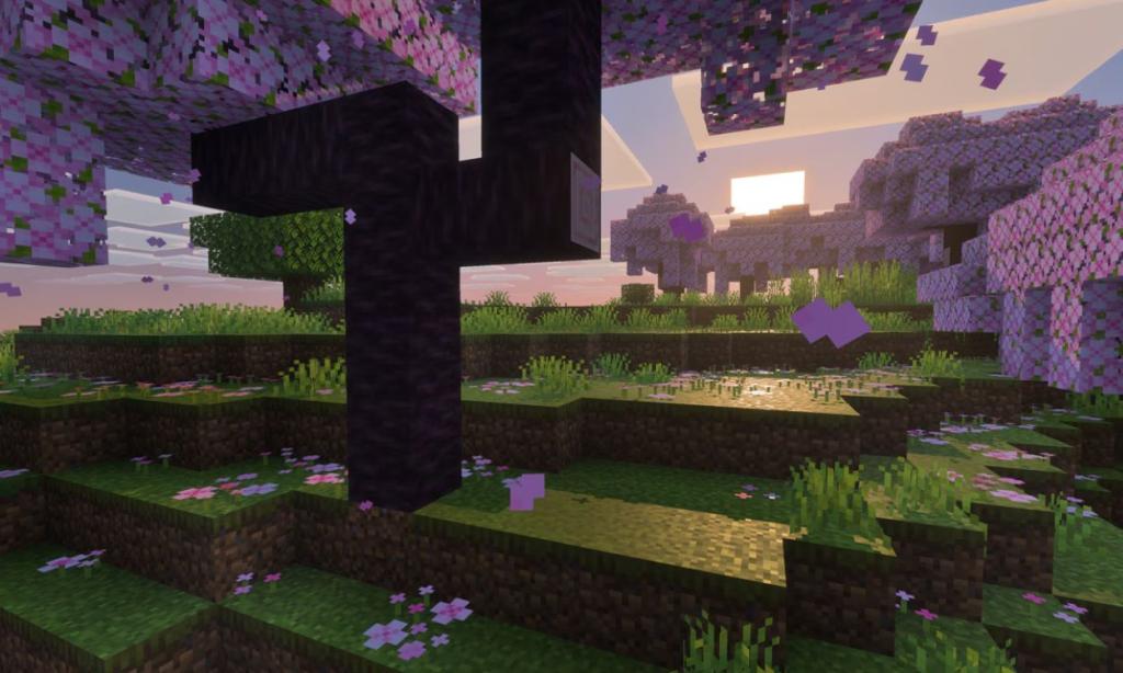 Minecraft Vibrant Visuals
