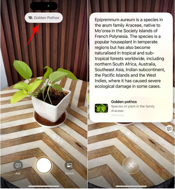 Use Visual Intelligence on iPhone
