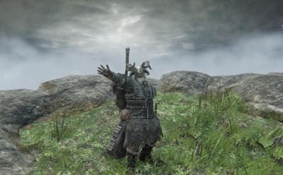 Raider waving in Elden Ring Nightreign