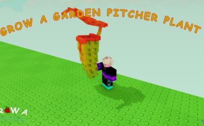 Grow a Garden Pitcher Plant in hand