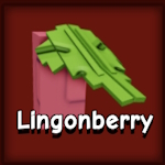 Lingonberry