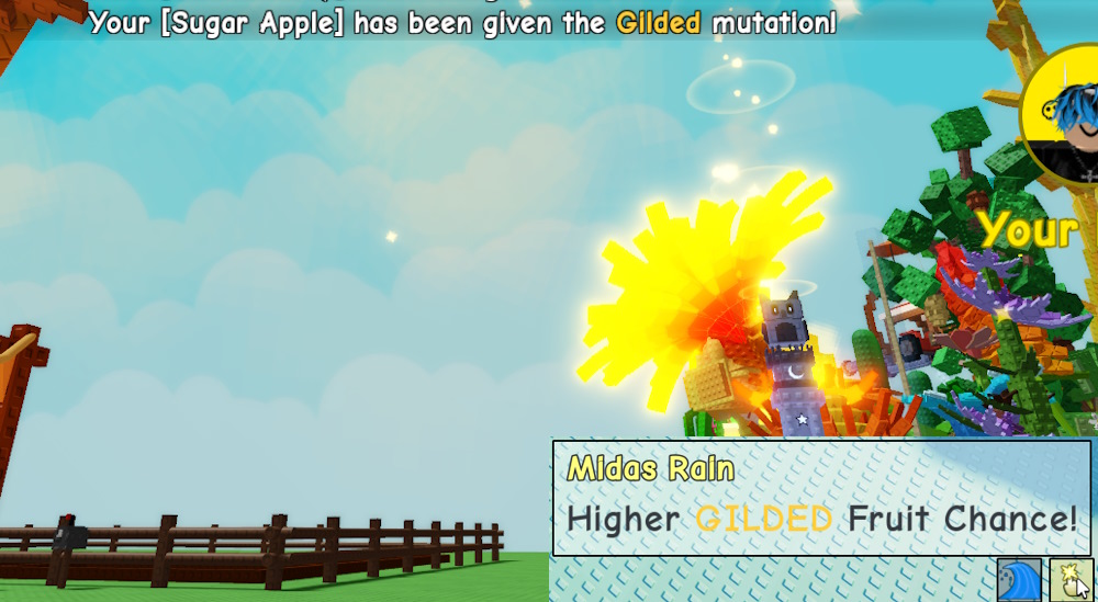 Midas Rain GaG